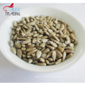 New Crop for Bakery and Snack Sunflower Seeds Kernels Sunflower Seeds Unshelled